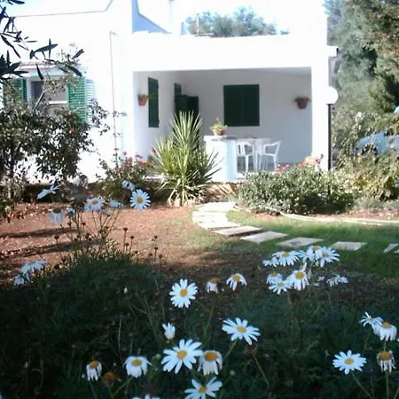 Franca --sole-terra-mare-- Ostuni